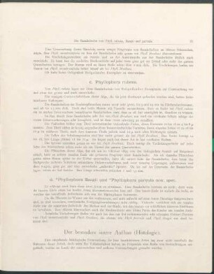 Der besondere innere Aufbau (Histologie)