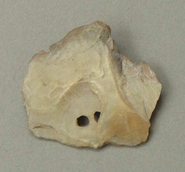 Shell ornament