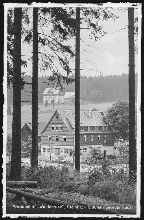 Steinbach. Fremdenhof "Waldesruhe"