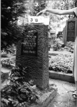Grabstein 381