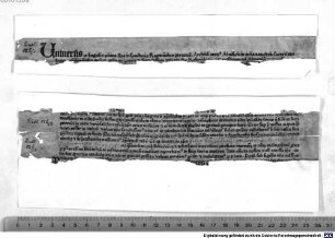 Forma confessionalis et absolutionis pro tuitione orthodoxae fidei contra Turcos. 1490 (?)