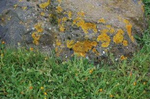 Insel Sardinien - Gesteinsbrocken : Römische Siedlung von Tharros an der Westküste, alte Hausfundamente, aufgenommen 2006