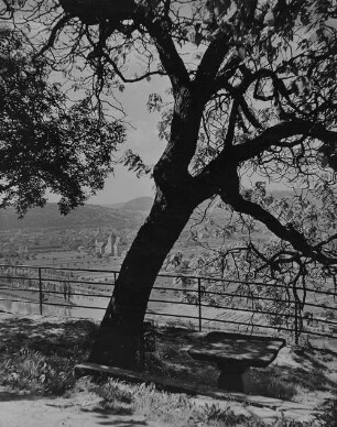 Archivfotografie "neckar_hornberg_on02"