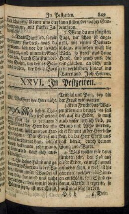 XXVI. In Pestzeiten