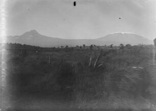 Kibo und Mawenzi : Der Kilimandscharo mit Kibo (links) und Mawenzi (rechts). Im Vordergrund die Landschaft des Kilimandscharo-Gebietes