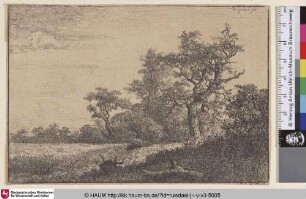 [Das Getreidefeld; The corn-field]