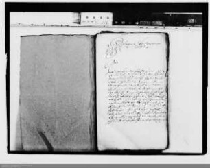 . Berichte der nassauischen Gesandten Franz Melchior und J. H. Saur vom Reichstag zu Regensburg: Band 10