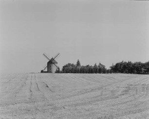 Holländerwindmühle : Ortsteilansicht mit Holländerwindmühle