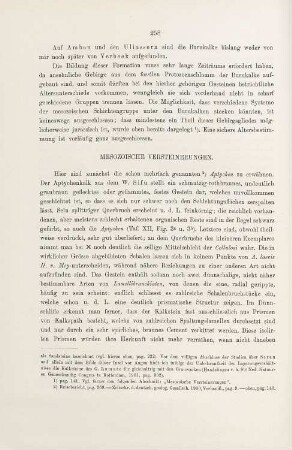 Mesozoische Versteinerungen