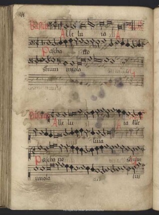 Stoltzer, Thomas: Resurrexi