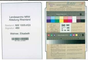 Entnazifizierung Elisabeth Wehner , geb. 02.09.1901 (Postassistentin)