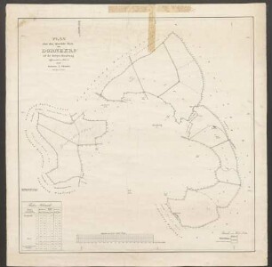 Plan über den Gemeinde-Wald von Dornberg auf dortiger Gemarkung