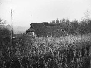 Japan. Maulbeerpflanzung, vielleicht in der Region Tōhoku nahe der heutigen Stadt Iwaki