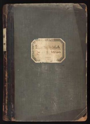 Einschreibebuch : Wintersemester 1913/1914-Sommersemester 1919
