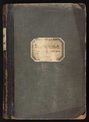 Einschreibebuch : Wintersemester 1913/1914-Sommersemester 1919