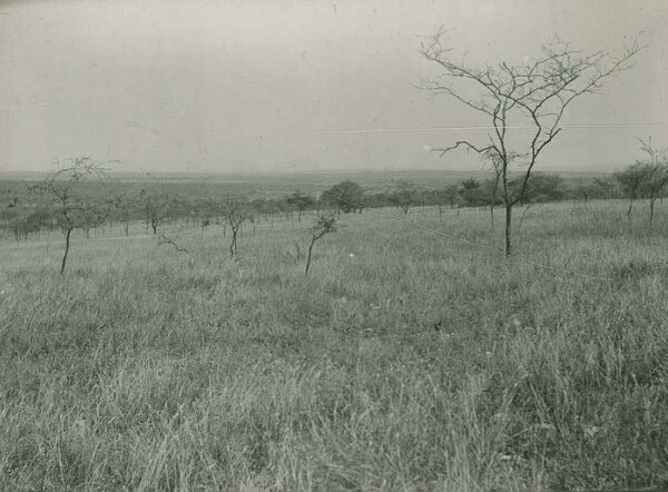 View from the hill with gold deposits of Prosp. Arndt