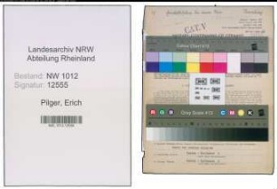 Entnazifizierung Erich Pilger , geb. 02.03.1911 (Geschaeftsfuehrer)