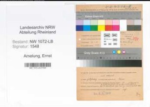 Entnazifizierung Ernst Amelung , geb. 19.07.1888 (Maler)