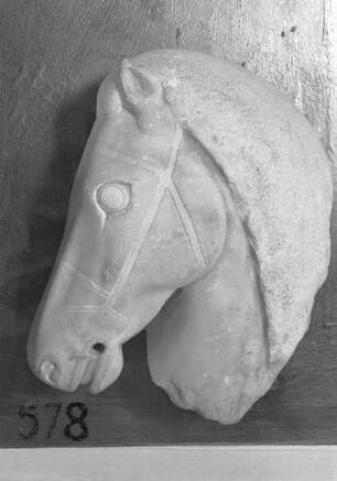 Pferde einer Quadriga — Kopf nach rechts (linkes Stangenpferd)