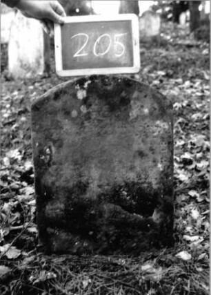 Grabstein 205 (Index: 100090538) Material: Sandstein Zustand: verwittert/fast völliger Textverlust Maße HxBxT: 55x43x12 cm Beschreibung: Stele, Segmentbogenabschluß: Grabstein 205