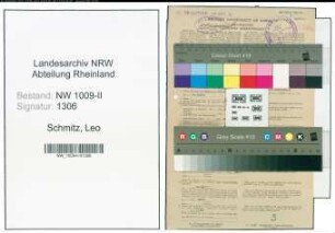 Entnazifizierung Leo Schmitz , geb. 06.10.1901 (Studienrat)