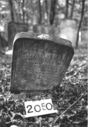 Grabstein 2050