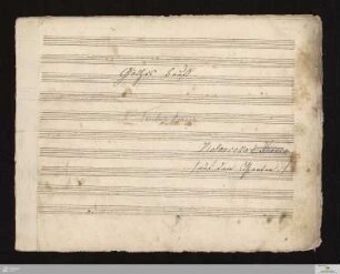 Violoncello (und Kontrabass)