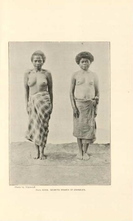 Plate XXXIII. Negrito women of Zambales