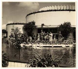 Gartenschau Sommerblumen am Funkturm, Berlin: Wasserbecken mit Flamingos, Ausstellungsgebäude im Hintergrund
