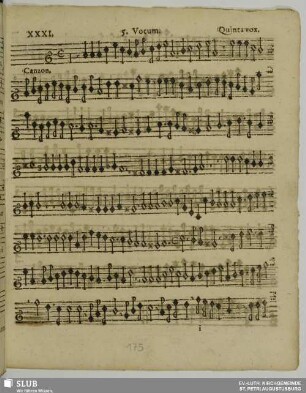 XXXI. Canzon