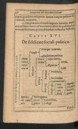 Caput XVI. De fidelitate sociali politica.