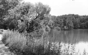 Oppach. Grenzmühlteich