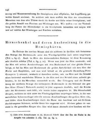 Hirnschenkel und deren Ausbreitung in die Hemisphären.