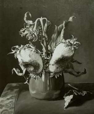 Sonnenblumen