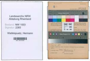 Entnazifizierung Hermann Wiefelspuetz , geb. 12.12.1898 (Schlosser)