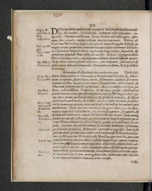 XV. Virtuti placuit dolus.