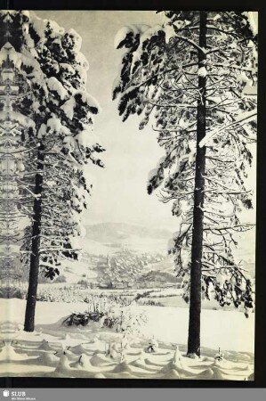 1 Blick vom Geisingberg auf Geising