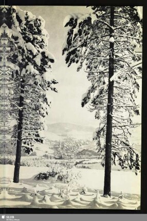 1 Blick vom Geisingberg auf Geising