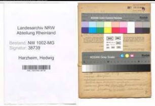 Entnazifizierung Hedwig Harzheim , geb. 24.10.1910 (Putzfrau)