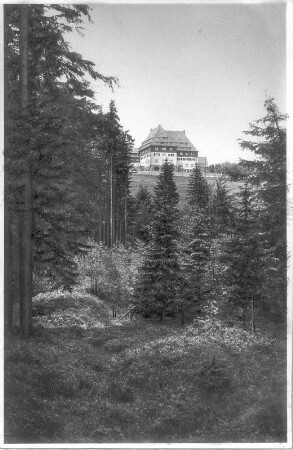Altenberg. Berghof "Raupennest" (1. V. 20. Jh.; O. Pusch). Ansicht von Ostsüdost