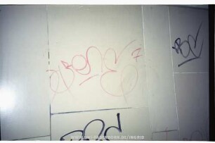 RenE 7