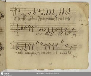 [Anonymus:] Passio secundum Matthaeum