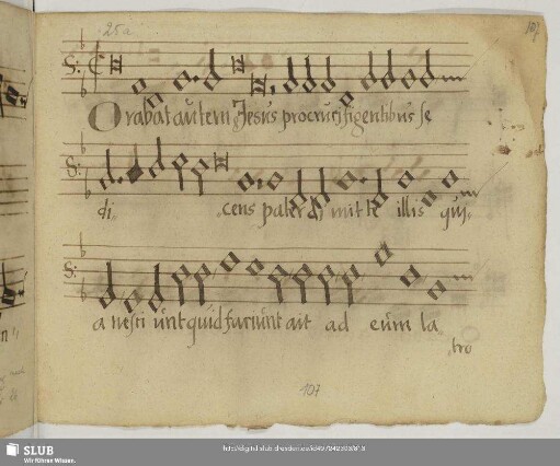 [Anonymus:] Passio secundum Matthaeum