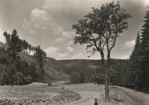 Thüringen. Oberes Schwarzatal unterhalb von Scheibe-Alsbach