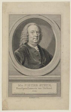 Bildnis des Pieter Steyn