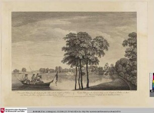 A View of the Palace from the South side of the Lake