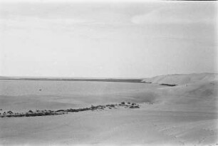Panorama der Haffküste in Nida : Panorama der Haffküste in Nida von der Wanderdüne aus.