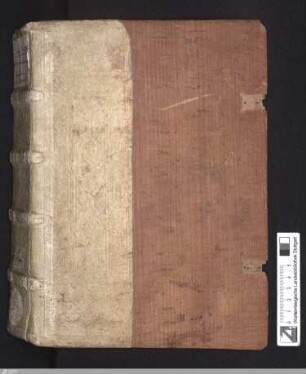 Willehalm von Orlens - HB XIII 2