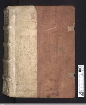 Willehalm von Orlens - HB XIII 2