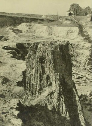 Hartau, Tongrube, tertiärer Mammutbaum (Sequoioxylon gypsaceum), sog. Zittauer Sumpfzypresse. Blick zum Gasthof Alte Drei Linden